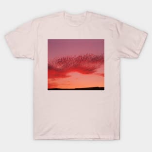 Beach Sunset Ocean Beach Sunset T-Shirt